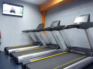 Беговая дорожка Kraft Fitness PK12S