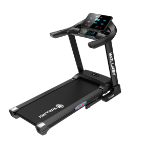 Беговая дорожка Wallaby TH300