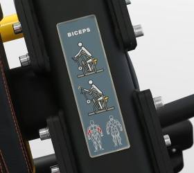 Бицепс Bronze Gym PL-1713 Бицепс Bronze Gym PL-1713