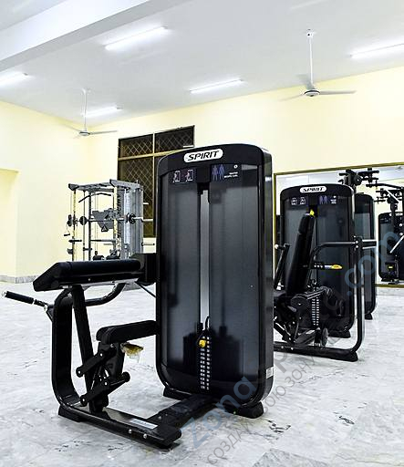 Бицепс машина в положении сидя Spirit SP-3506 Бицепс машина в положении сидя Spirit SP-3506