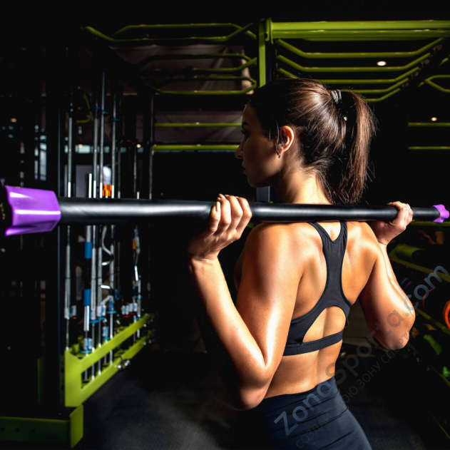 Бодибар 4 кг Profi-Fit PF-BDB-4 Бодибар 4 кг Profi-Fit PF-BDB-4