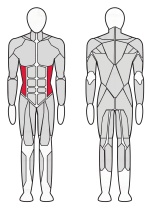 Боковой наклон Fitex Pro FTX-7319A Боковой наклон Fitex Pro FTX-7319A