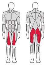 Гакк машина (рычажный) Fitex FTX-FB65 Гакк машина (рычажный) Fitex FTX-FB65