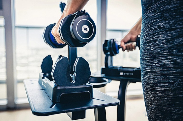 Гантель регулируемая XTERRA 2-10 кг Гантель регулируемая XTERRA 2-10 кг