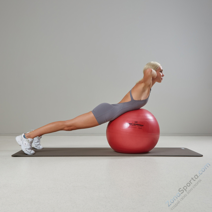 Гимнастический мяч SISSEL Securemax Exercise Ball диаметр 55 см, красный Гимнастический мяч SISSEL Securemax Exercise Ball диаметр 55 см, красный