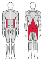 Гиперэкстензия угловая Fitex Pro FTX-7343 Гиперэкстензия угловая Fitex Pro FTX-7343