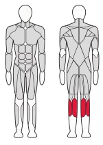 Голень стоя Fitex Pro FTX-7331 Голень стоя Fitex Pro FTX-7331