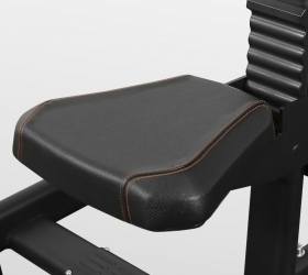 Горизонтальная тяга под наклоном Bronze Gym PL-1709 Горизонтальная тяга под наклоном Bronze Gym PL-1709