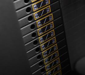 Гравитрон Bronze Gym Neo 09 Гравитрон Bronze Gym Neo 09