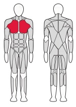 Грудь машина Fitex Pro FTX-7307 Грудь машина Fitex Pro FTX-7307