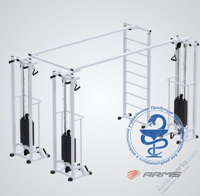 Кроссовер Биотонус-3+шведская стенка (стек 3х75кг) AR087.3х2200