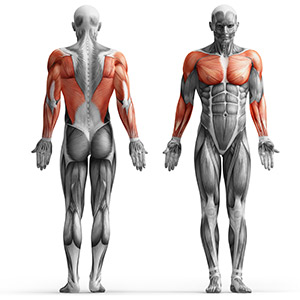 Кроссовер Marbo Sport MH-W103 Кроссовер Marbo Sport MH-W103