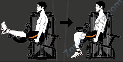 Сгибание ног стоя Steel Flex Hope HLC400B Сгибание ног стоя Steel Flex Hope HLC400B