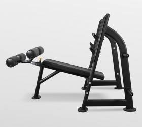 Скамья для жима с отрицательным наклоном Bronze Gym BR-1013 Скамья для жима с отрицательным наклоном Bronze Gym BR-1013