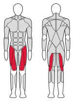 Стойка для приседаний Fitex Pro Optima FTX-6854 Стойка для приседаний Fitex Pro Optima FTX-6854