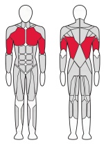 Стойка турник-брусья-пресс Fitex Pro Optima FTX-61A45A Стойка турник-брусья-пресс Fitex Pro Optima FTX-61A45A