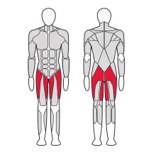Тренажер для бедер и ягодичных мышц Gym80 Sygnum Medical 3256 Тренажер для бедер и ягодичных мышц Gym80 Sygnum Medical 3256