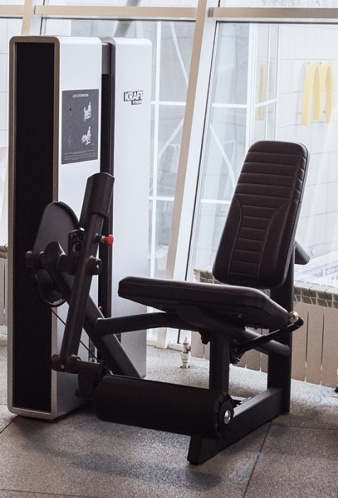 Тренажер Разгибание ног Kraft Fitness KFXLE Тренажер Разгибание ног Kraft Fitness KFXLE