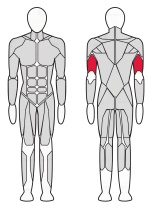 Трицепс машина Fitex FTX-6212 Трицепс машина Fitex FTX-6212