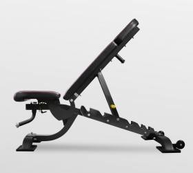 Универсальная регулируемая скамья Bronze Gym BR-1008 Универсальная регулируемая скамья Bronze Gym BR-1008