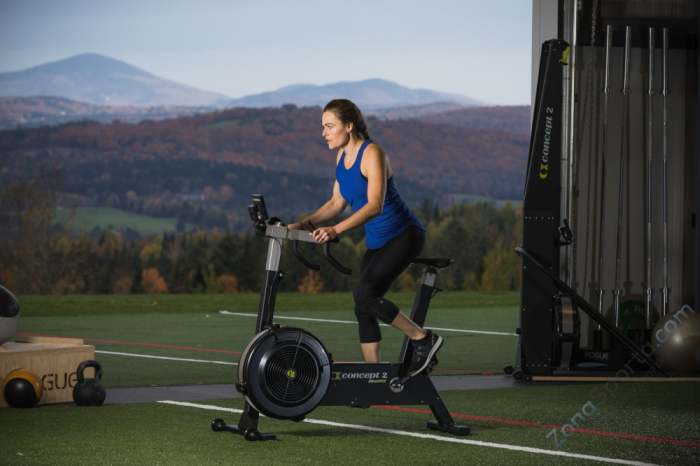 Велотренажер BikeErg Concept2 Велотренажер BikeErg Concept2