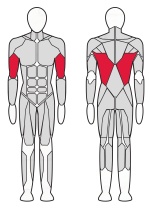 Верхняя тяга Fitex FTX-6215 Верхняя тяга Fitex FTX-6215
