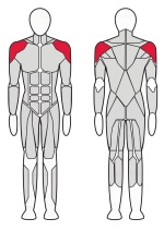 Жим вверх Fitex Pro FTX-61F01A